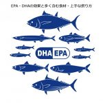EPA・DHAを含む魚
